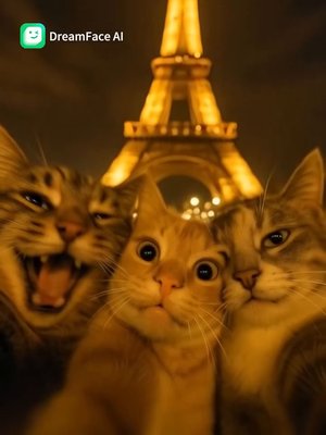 POV: When you and your besties taking selfies under Eiffel Tower.
#dreamface #selfie #cat #cutecat