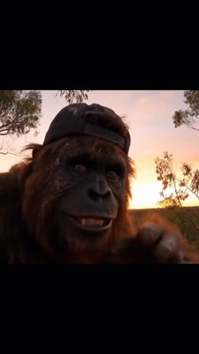 🦍 x 🧨 #unreel #reels #meme.